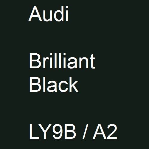 Audi, Brilliant Black, LY9B / A2.